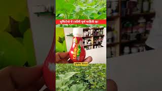 Sumitomo Taboli Insecticide kapus agriculture farming कापूस farmer [upl. by Airdnahc]