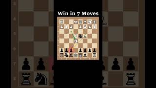 Win in 7 Moves  Italian Game  Shilling Gambit [upl. by Philip]