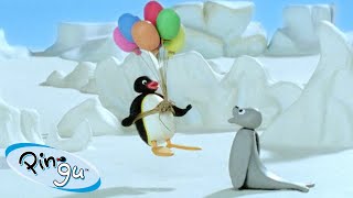 Flying with Pingu 🐧  Pingu  Official Channel  Cartoons For Kids [upl. by Meyer686]