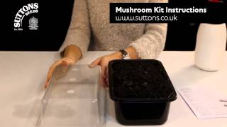 Suttons Seeds Mushroom Kit Instructions [upl. by Nachison811]