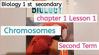 2023 بيولوجي لغات اولى ثانوي درس chromosomes biology 1 st secondary chapter 1 lesson 1 [upl. by Razatlab538]