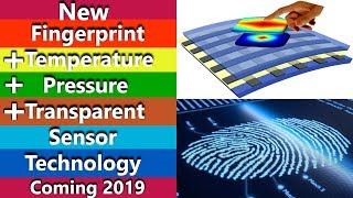 Fingerprint Temperature Pressure Transparent Sensor Technology Explained [upl. by Alliber]