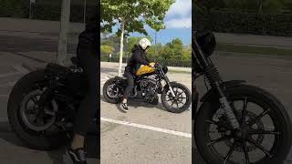 Harley Davidson black and yellow harley harleyvideos custombike custommademalditaharley biker [upl. by Ardnoik474]