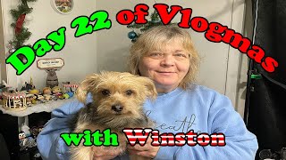 Doggy Delights Vlogmas Day 22 Unwrapping Winstons Daily Treat Surprise [upl. by Airetahs]