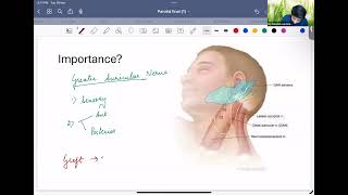 Parotid surgery Nishant 241119 [upl. by Venn951]