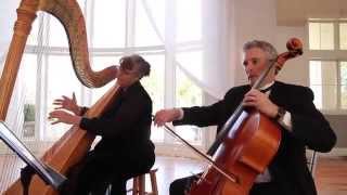 Harp Duo with Cello  Wedding Music  Colorado Musicians  A Music Plus Entertainment [upl. by Keely694]