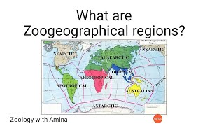 What are zoogeographical regions  How to draw zoogeographical regions map [upl. by Favianus248]