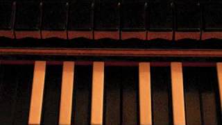 BachBusoni Toccata e fuga in re minore  Piano Stefano Ligoratti [upl. by Crawford]