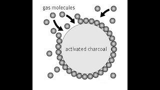 Adsorption of gas at solid surface Dr ASM [upl. by Alanah]