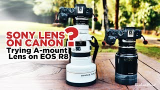 SONY Lens on CANON Trying Amount Lens on EOS R8 [upl. by Ynneb]