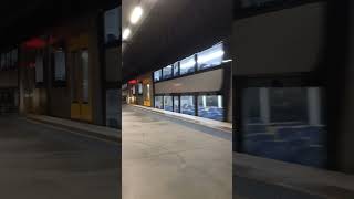 Double decker train leaves Sydneys Circular quay station shorts train sydney australia [upl. by Goth]