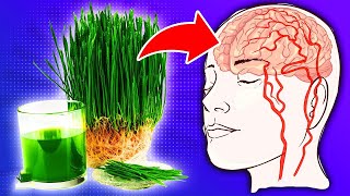 Discover the Top 8 Health Benefits of Wheatgrass [upl. by Hgeilyak]