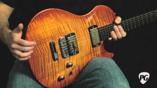 Video Review  Vigier Guitars GV Wood [upl. by Jaime]