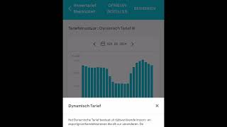 Enphase Zonnepanelen uitschakelen bij negatieve stroomprijs [upl. by Nagol]