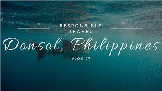 Snorkelling With Whale Sharks In Donsol Philippines [upl. by Abbate]