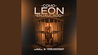 Como Leon Enjaulado [upl. by Ellehsal]