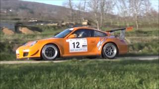 Rallye Pays Du Gier 2016 Show [upl. by Lokcin339]