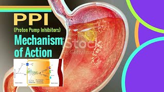 PPI Mechanism of Action  Proton pump inhibitors mechanism of action [upl. by Warrick]