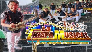 Canchame con la chispa musical los alegres chichelense [upl. by Bashuk]