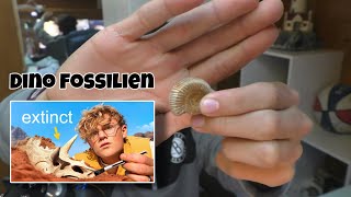 Er findet Dino Fossilien [upl. by Ettennaej]