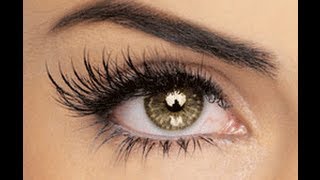 How To Apply False Eyelashes [upl. by Sager]