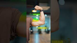 😨Top 3 Exercise for BICEPs [upl. by Fromma698]