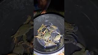 Kakra 🦀 কেকুৰা আছে চাওক fishing viralreels fishingtechniques yotubeshort [upl. by Xenophon255]