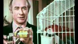 Schweppes Tonic Water TV advert by OampM quot Parrotquot 1971 [upl. by Nere153]