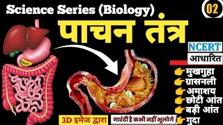 Digestive System  पाचन तंत्र  Pachan tantra  पार्ट2  by Rohit Sir  ncert [upl. by Ilarin]