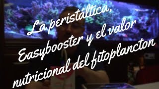 La peristáltica Easybooster y el valor nutricional de fitoplancton [upl. by Sivart174]