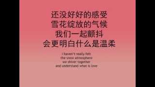 王菲  红豆 red bean lyrics [upl. by Hola608]