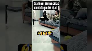 EL PERRO 🐕 ES MAS EDUCADO QUE LAS HIJAS 😅 shorts viralvideo comedy humor 100k 1million [upl. by Noremmac]