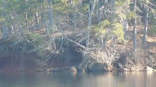 Lake Philpott SW Virginia 22 December 2023 [upl. by Orenid800]