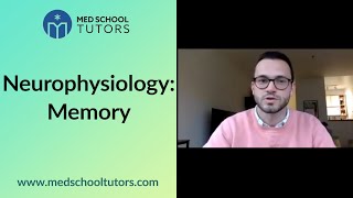 Memory High Yield Neurophysiology for the USMLE amp COMLEX Exams [upl. by Nikkie878]