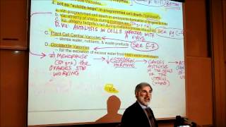 BIOLOGY CYTOLOGY PART 3 by Professor Fink [upl. by Kirrad]