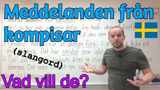 Meddelanden från kompisar slangord SFI [upl. by Essej6]