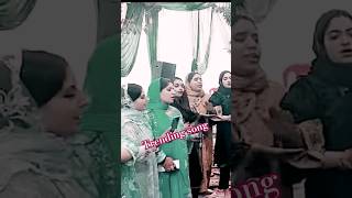 Latest Song  Kashmiri Marriage Dance Video  Kashmiri Hit Top Songs [upl. by Nnylecyoj330]