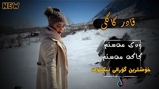 Qadr GagliWay Mastmوەی مەستمخۆشترین گۆرانی تیک تۆک2023 [upl. by Leandra]