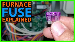 How To Replace a Fuse on a Furnace or AC Air Handler Control Board [upl. by Chavey]