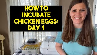 How To Incubate Chicken Eggs Day 1 [upl. by Petulia]