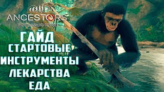 ГАЙД Инструменты Лекарство и Еда Ancestors The Humankind Odyssey [upl. by Inez]