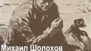 аудиоспектакль Шолохов Михаил Судьба человека [upl. by Yesnil]