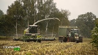 Lohnunternehmen Henke häckselt Mais für eine Biogasanlage in Niedersachsen HD [upl. by Niwrek]