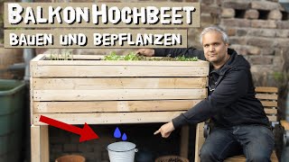 Kleines Hochbeet für Balkon und Terrasse einfach selber bauen und mit Salat und Gemüse bepflanzen [upl. by Oringas12]