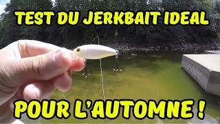 Je test le meilleur Jerkbait pour lautomne [upl. by Lin]