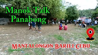 Manok Panabong sa Mantalongon  Cebu  Silip Tayo [upl. by Yraht]