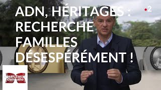 Complément denquête ADN héritages  recherche familles désespérément   25 avril 2019 France 2 [upl. by Kenlee359]