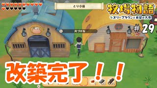 うしampとり小屋改築！そしてついに釣りも始めるよ！ part29【牧場物語 オリーブタウンと希望の大地】 [upl. by Dollar]