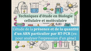 Fiches Techniques  Létude de la présence et de la quantité dun ARN particulier par RTPCR [upl. by Jun]