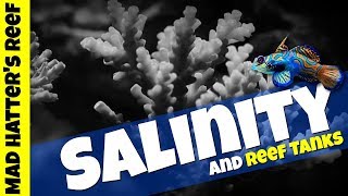 Salinity and Reef Tanks [upl. by Aisercal468]